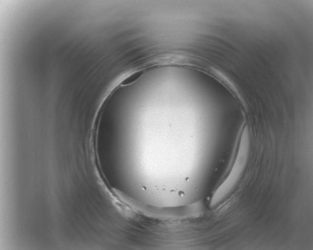 X0000063501434200602172107