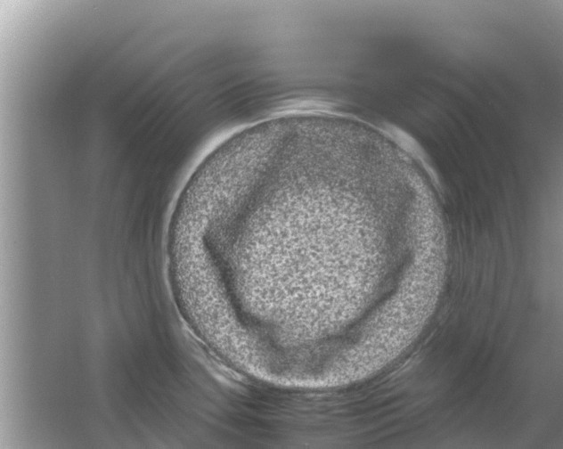 X0000063501435200602172107