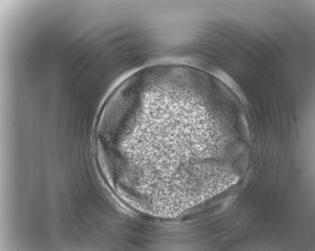 X0000063501436200602172107