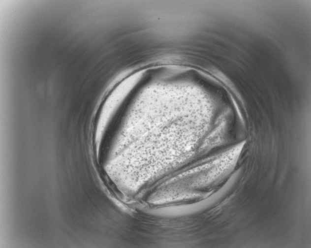 X0000063501437200602172107