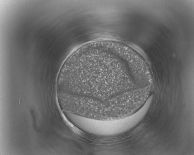 X0000063501439200602172107