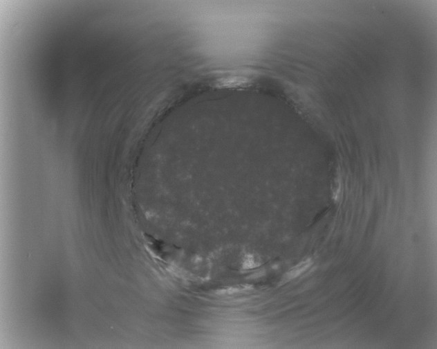 X0000063501441200602172106