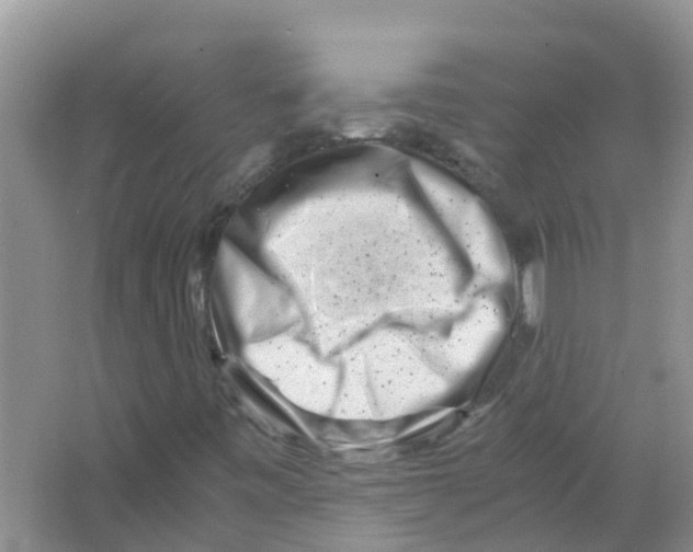 X0000063501443200602172106