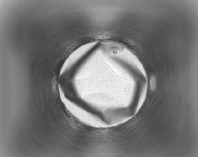 X0000063501444200602172106