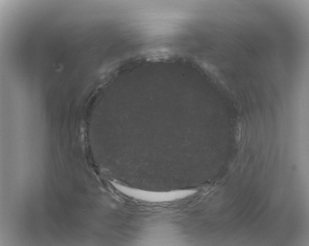 X0000063501445200602172106