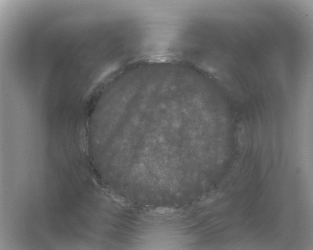 X0000063501446200602172106