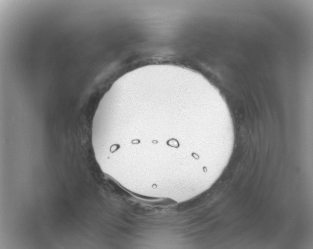 X0000063501447200602172106