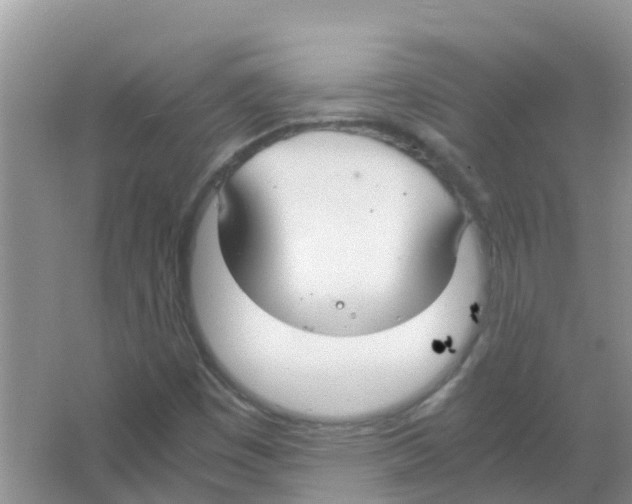 X0000063501449200602172106