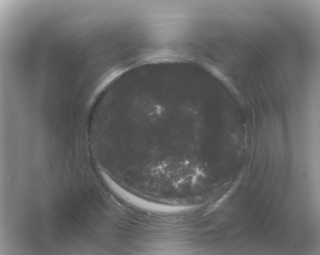 X0000063501453200602172106