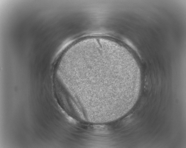 X0000063501456200602172106