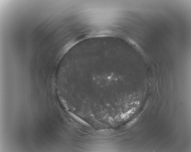 X0000063501457200602172106