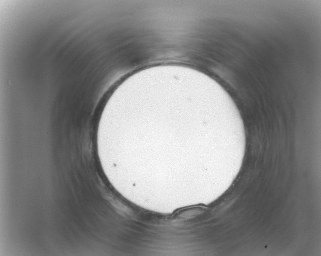 X0000063501458200602172106