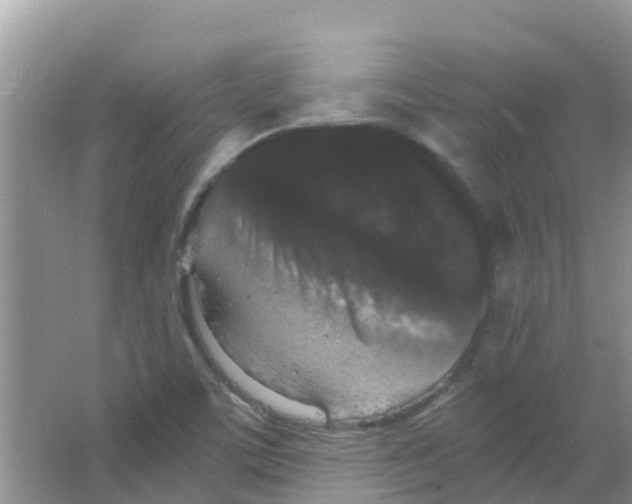 X0000063501459200602172106