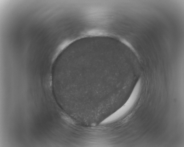 X0000063501461200602172105