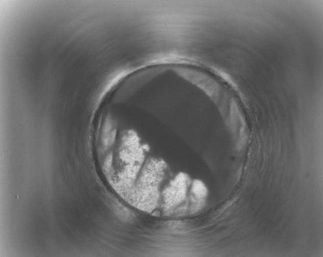 X0000063501463200602172105