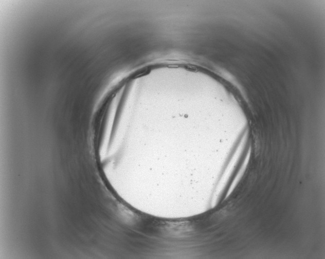 X0000063501464200602172105