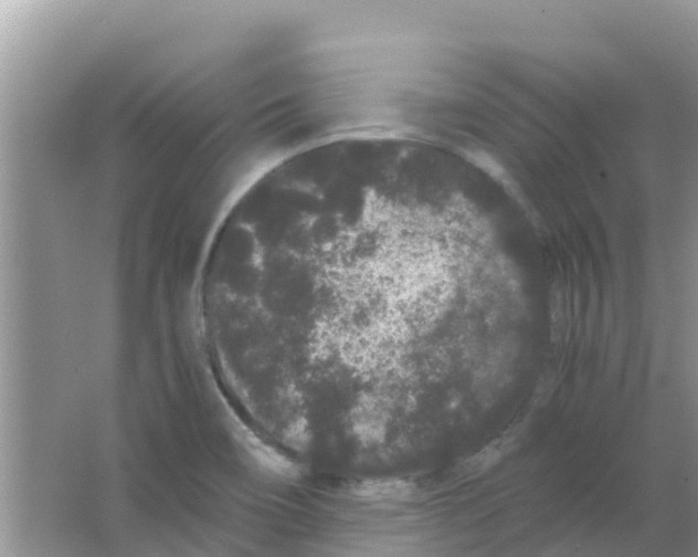 X0000063501466200602172105