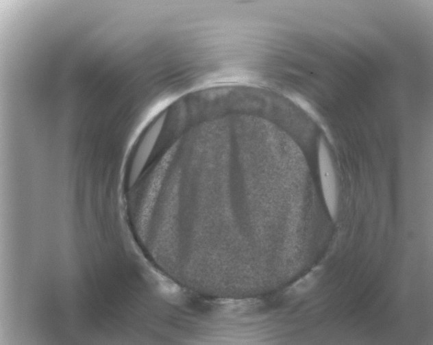 X0000063501469200602172105