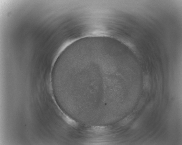 X0000063501470200602172105