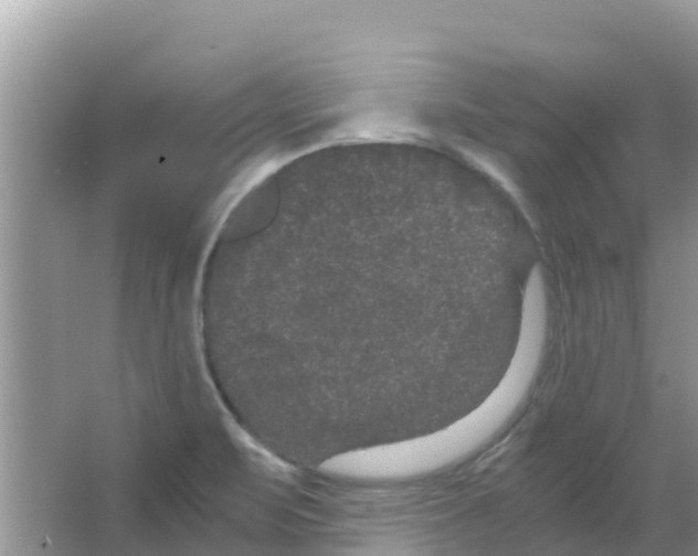 X0000063501471200602172105