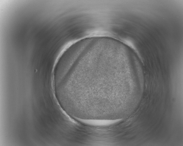 X0000063501472200602172105