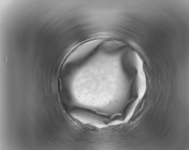 X0000063501473200602172105