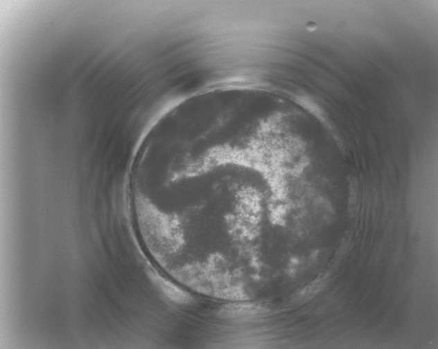 X0000063501474200602172105