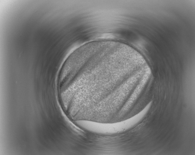 X0000063501475200602172105