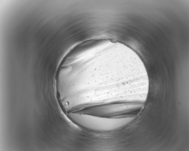 X0000063501476200602172105