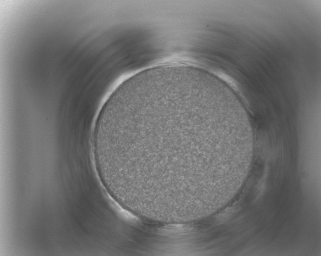 X0000063501478200602172105