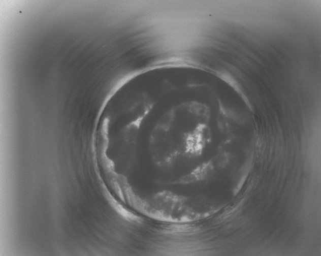 X0000063501482200602172105