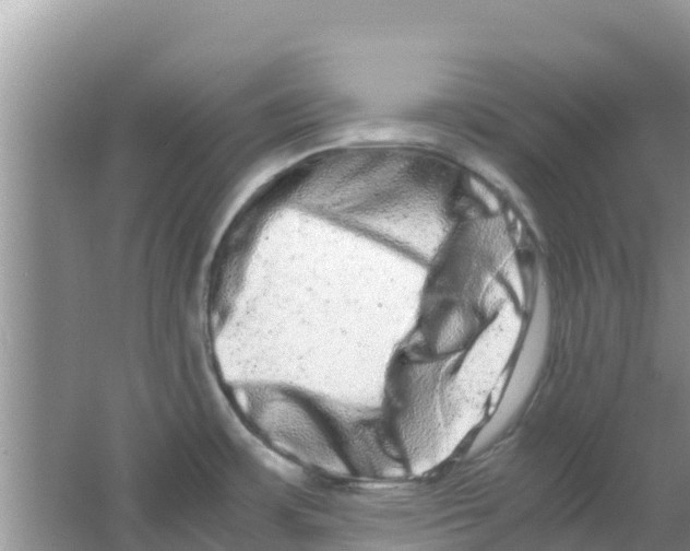 X0000063501483200602172105