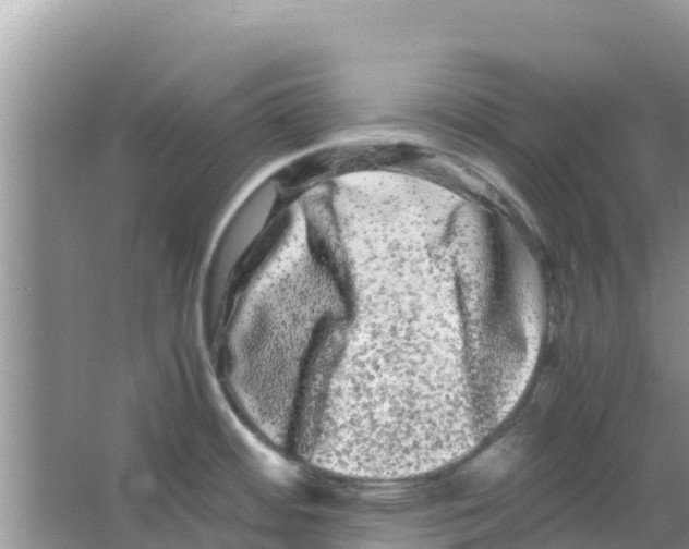 X0000063501484200602172105