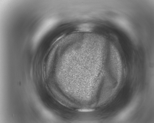 X0000063501487200602172105