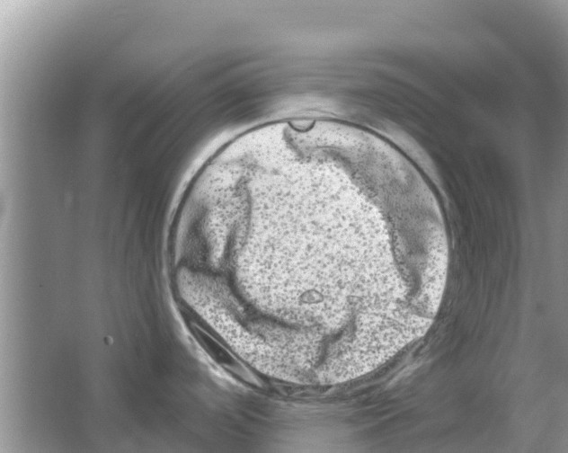 X0000063501488200602172105