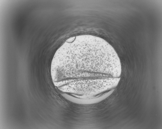 X0000063501489200602172104