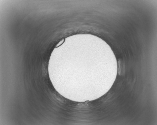 X0000063501491200602172104