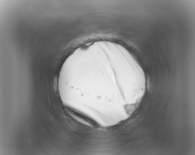 X0000063501492200602172104