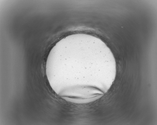 X0000063501493200602172104