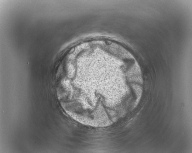 X0000063501494200602172104