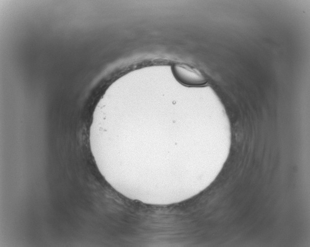 X0000063501495200602172104