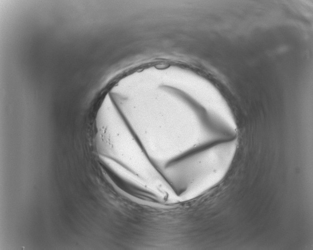 X0000063501496200602172104