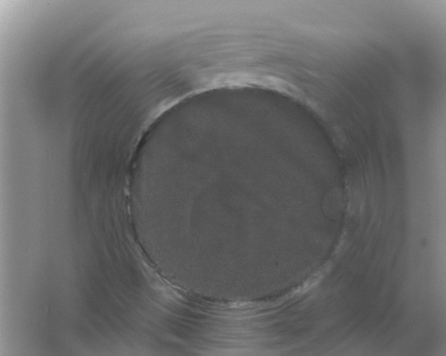 X0000063501497200602172104