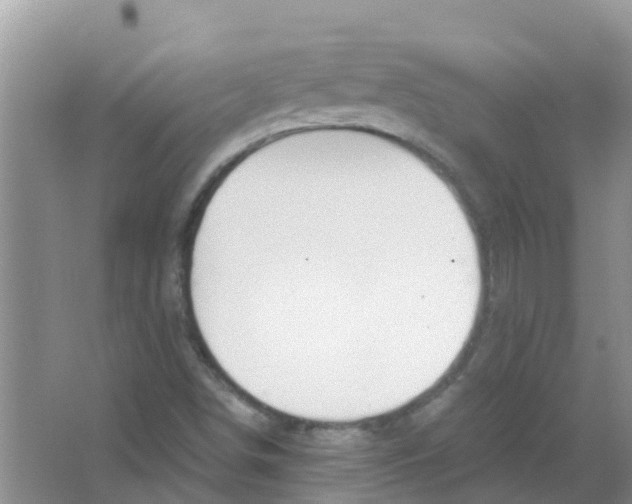 X0000063501498200602172104