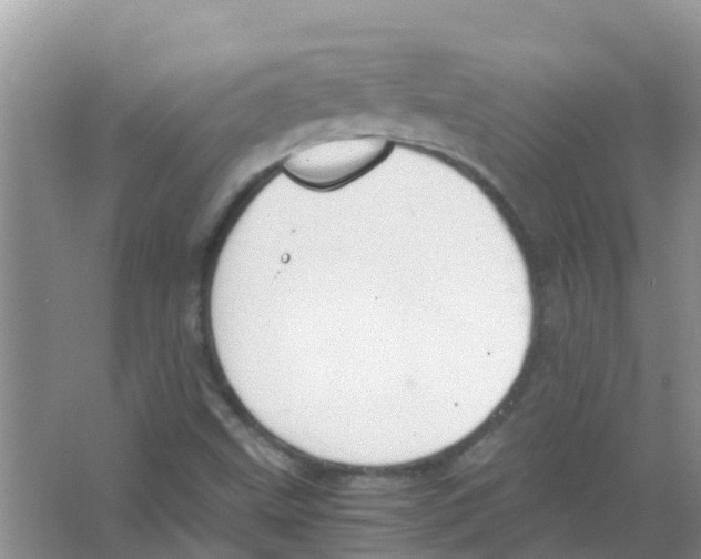 X0000063501499200602172104