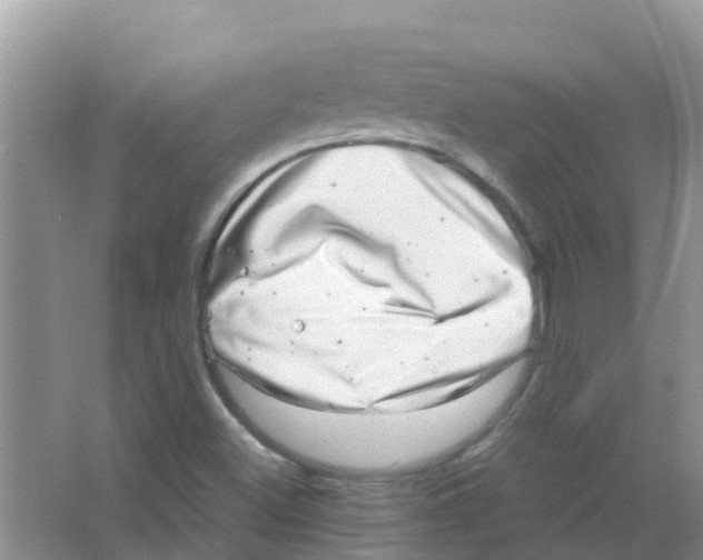 X0000063501500200602172104