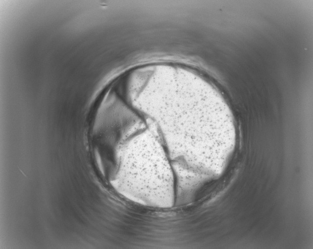 X0000063501501200602172104