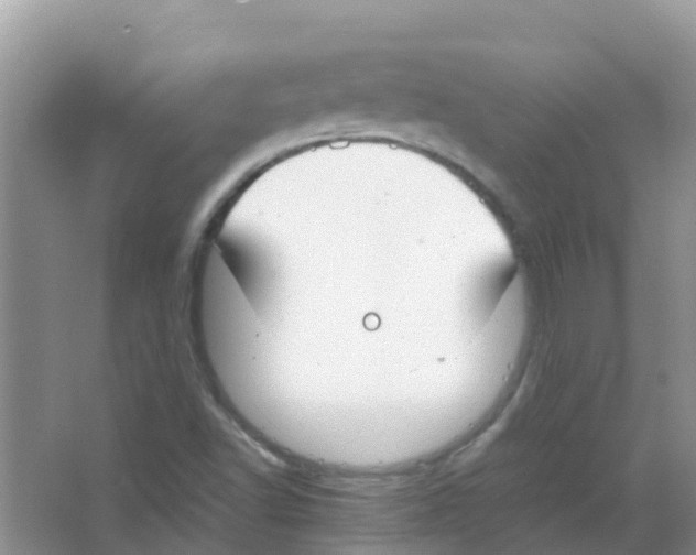 X0000063501502200602172104