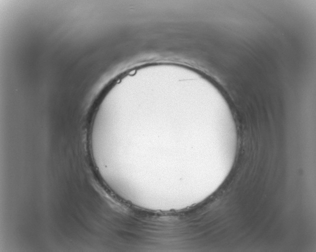 X0000063501503200602172104