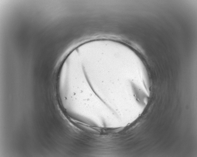 X0000063501504200602172104